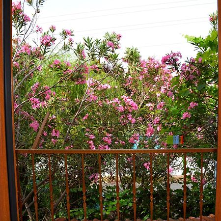 Villa Poseidon Dalyan Esterno foto