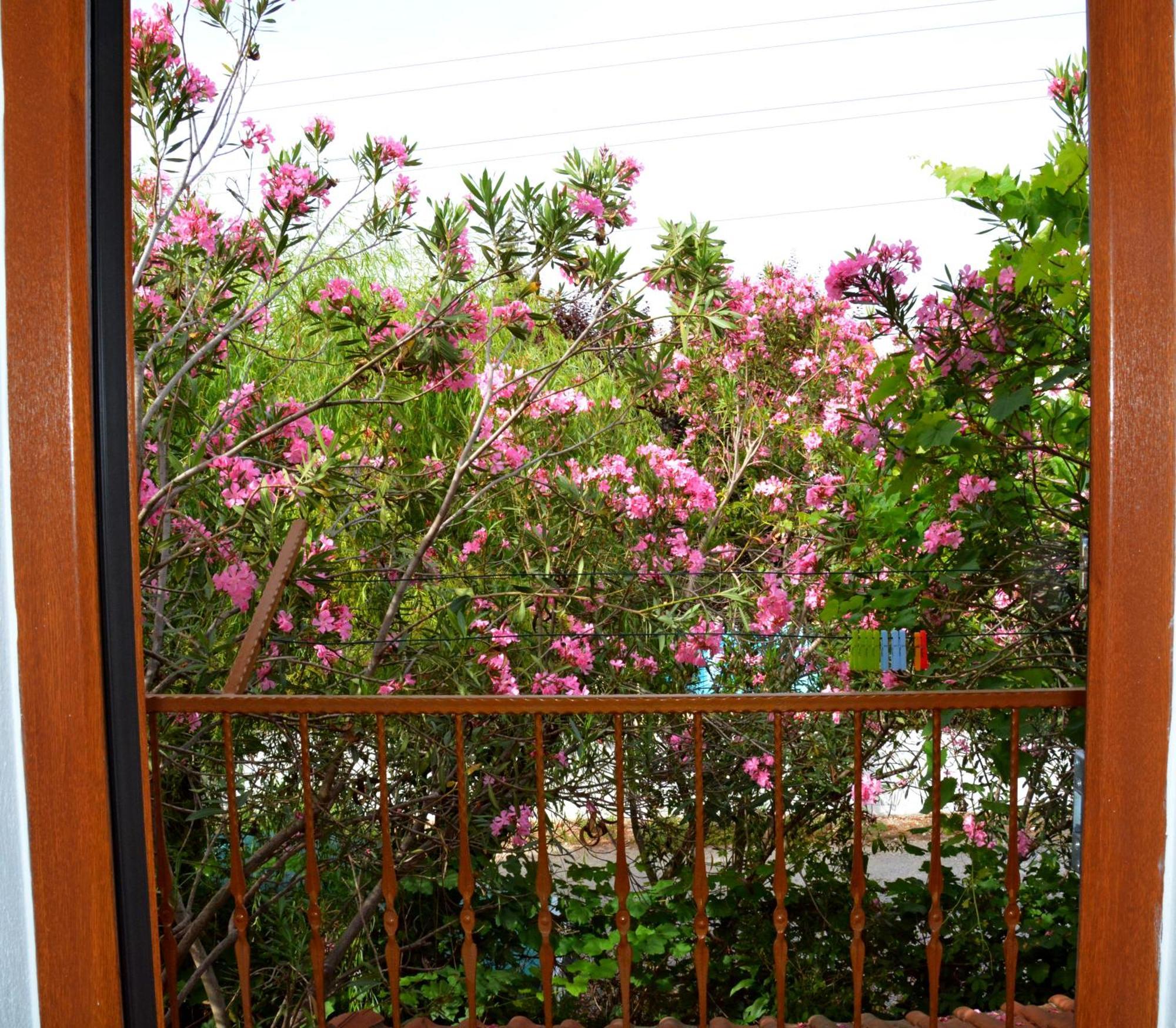 Villa Poseidon Dalyan Esterno foto